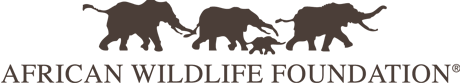 African Wildlife Foundation Logo